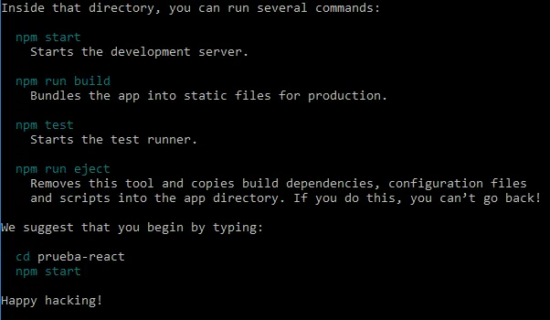 Comandos de npm para crear un servidor de desarrollo